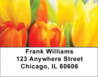 Colors On Fire Address Labels | LBZFLO-47
