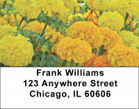 Mellow Yellow Address Labels | LBZFLO-49