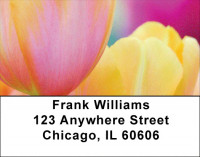 Rainbow Garden Address Labels | LBZFLO-51