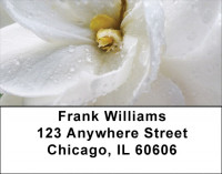 Yellow And White Florals Address Labels | LBZFLO-55