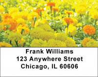Yellow And White Florals Address Labels | LBZFLO-55