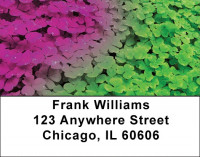 Clovers Address Labels | LBZFLO-56