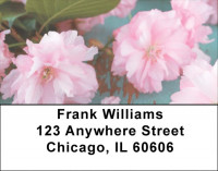 Springtime In The Orient Address Labels | LBZFLO-60