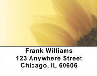 Sunny Sunflowers Address Labels | LBZFLO-61