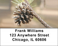 Pinecones A Plenty Address Labels | LBZFLO-66