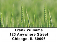 The Grain Harvest Address Labels | LBZFOD-06