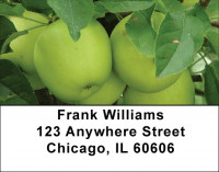 An Apple A Day Address Labels | LBZFOD-18