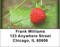 Bloomin' Strawberries Address Labels | LBZFOD-25