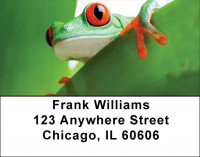 It's A Froggy Frog World Address Labels | LBZFUN-63