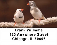 Love Birds Are Everywhere Address Labels | LBZLOV-02