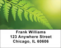 Branching Out Address Labels