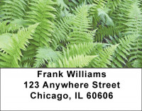 Ferns Address Labels | LBZNAT-42
