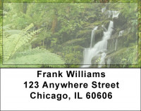 Fern Forrest Address Labels | LBZNAT-43