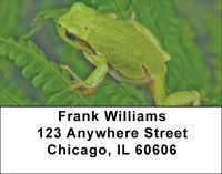 Fern Frogs Address Labels | LBZNAT-45