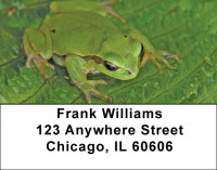 Fern Frogs Address Labels | LBZNAT-45