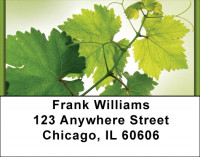 Simply Green Address Labels