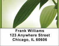 Simply Green Address Labels | LBZNAT-52