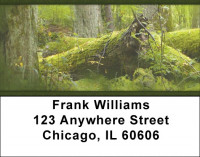Mossy Oak Address Labels | LBZNAT-53