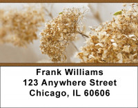 Dried Seed Pods and Flowers Address Labels | LBZNAT-58