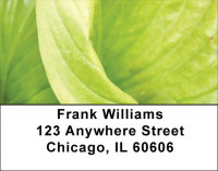 Foliage Abstract Address Labels