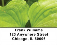 Foliage Abstract Address Labels | LBZNAT-60