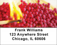 Fire Safety Address Labels | LBZPRO-17