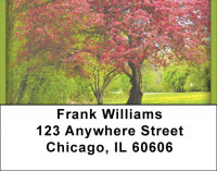 Trees In Springtime Address Labels | LBZSCE-14