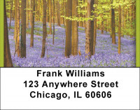 Trees In Springtime Address Labels | LBZSCE-14