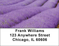 Fields Of Lavender Address Labels | LBZSCE-16