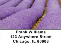 Fields Of Lavender Address Labels | LBZSCE-16