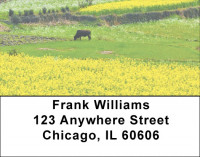 Foothills In Bloom Address Labels | LBZSCE-17