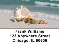 Sand and Shells Address Labels | LBZSCE-24