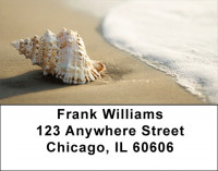 Sand and Shells Address Labels | LBZSCE-24