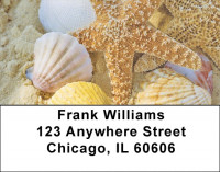 Beach Treasures Address Labels | LBZSCE-26