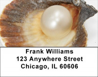 Pearly Shells Address Labels | LBZSCE-28