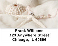 Romantic Shells Address Labels | LBZSCE-29