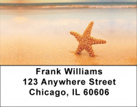 Starfish On Parade Address Labels | LBZSCE-31