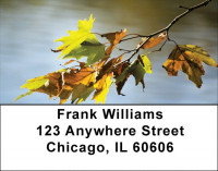 Falling Leaves On Water Address Labels
