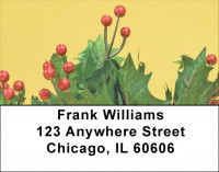 Holly Christmas Basket Address Labels | LBZXMS-01