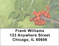 Holly With Greenery Address Labels | LBZXMS-03