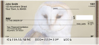 Barn Owls Personal Checks | QBA-48