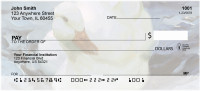 Painted Swans Personal Checks | QBA-62