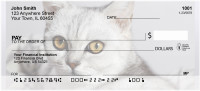 Feline Softness Personal Checks | QBA-89