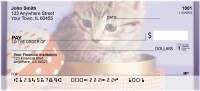 Kitten In A Box Personal Checks | QBA-92