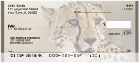 Cheetahs Personal Checks | QBB-03