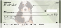 Bernese Mountain Dogs Personal Checks | QBB-25