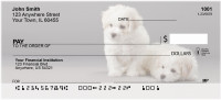 Bichon Puppies Personal Checks