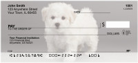 Bichon Puppies Personal Checks | QBB-27