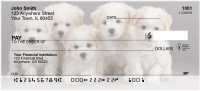 Bichon Puppies Personal Checks | QBB-27