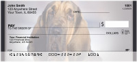 Bloodhounds Personal Checks | QBB-28